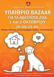 bazzar_oct