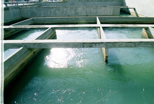 water
